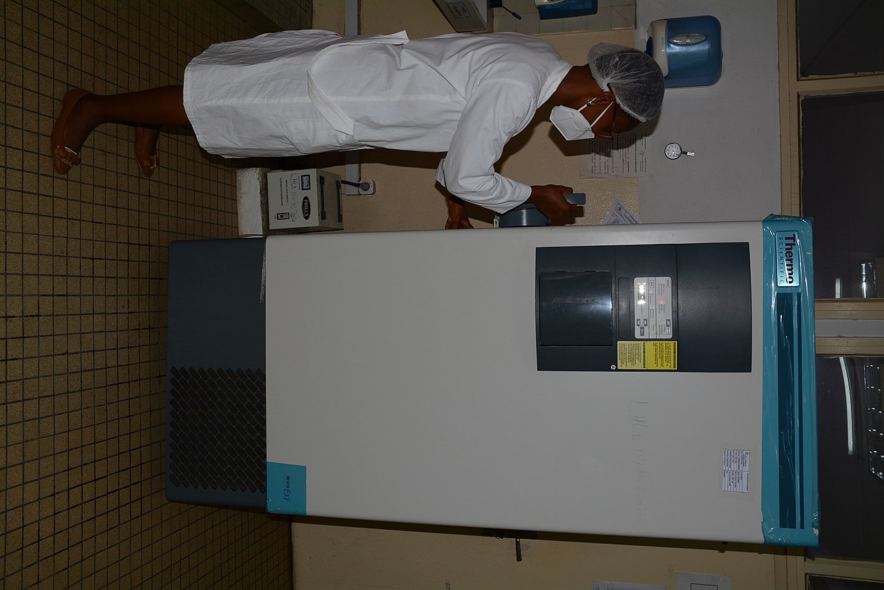 Clinical Laboratory Diagnostics and Specimen Processing Workflow